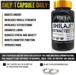 Shilajit Organic Capsules - Contains High Strength Fulvic Acid - 3 Month Supply - Shilajit Resin and Libido Booster for Men - 90 Vegan Capsules - Image 3