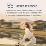 DIRTEA Lion's Mane Mushroom Powder | 2,000mg / Serving | Organic, Vegan & Non GMO | Focus, Memory & Immunity | High Strength Supplement with Zinc | 240g - 120 Servings - Image 3