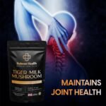Tiger Milk Mushroom | 1000mg High Strength 30:1 Extract | Supports Lung Function, Respiratory Health, Immune Defence & Vitality | 60 Vegan Capsules | Non-GMO, Gluten-Free | Made in UK - Image 4