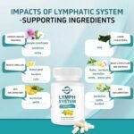 Lymph System Support Supplement – Lymphatic Drainage Supplement with Dandelion Extract, Cleavers, Burdock Powder and Cleanse Lymph Hair/Skin/Nails Supplements Dietary Healthcare 60 Count - Image 6