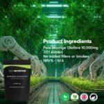 Moringa Capsules 10,000mg | Potent Antioxidant Superfood | Non-GMO, Third-Party Tested Pure Moringa for Energy, Immunity & Gut Health Support | 100% Moringa Oleifera | Vegetarian & Gluten-Free | 60 Ct - Image 5