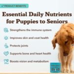 Natural Dog Company Multivitamin Chews (90 Pieces), Dog Vitamins and Supplements, Duck & Sweet Potato Flavor, for Dogs of All Ages, Sizes, & Breeds, Supports Immune System - Image 3