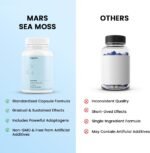 Mars by GHC Sea Moss Caps Surge Natural (60N) | Packed with 84 Essential Minerals | Powered with Black Seed Oil, Ashwagandha & Vitamin D3 | Overall Well-Being (Pack of 1) - Image 4