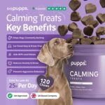 Pupps Calming Dog Treats - 120x Vet Approved Dog Calming Chews - Stop Barking, Anxiety Relief, Separation, Hyperactivity, Jumping, Aggression & Fireworks Stress - Hemp Dog Calming Tablets That Work - Image 3
