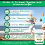 VitaBio 16 Bowel & Colon Cleansing. Natural Digestive Health, Vegan Gut & Immune Support. Kosher Detox & Cleanse. Anti-Viral, Anti-Fungal, Anti-Bacterial Formula - Image 6