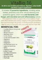 VitaBio 16 Bowel & Colon Cleansing. Natural Digestive Health, Vegan Gut & Immune Support. Kosher Detox & Cleanse. Anti-Viral, Anti-Fungal, Anti-Bacterial Formula - Image 8