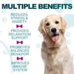 Calming Chews for Dog(Be'e'f 30PCS),100% Natural Ingredients Dogs Calming Treats,Helps Dog Anxiety & Stress Relief, Separation and Barking,for All Breeds & Sizes 2.6oz(75g) - Image 8