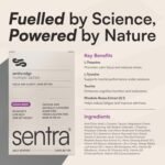 Sentra® Nootropic Brain Supplement | 30x Berry Sachets For Focus, Energy, ADHD, Memory, Cognitive Function | 16 Brain Boosting Ingredients - Lions Mane Powder, Ginkgo Biloba & Vitamin B1,B2,3,6,D3 B12 - Image 3