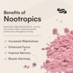 Sentra® Nootropic Brain Supplement | 30x Berry Sachets For Focus, Energy, ADHD, Memory, Cognitive Function | 16 Brain Boosting Ingredients - Lions Mane Powder, Ginkgo Biloba & Vitamin B1,B2,3,6,D3 B12 - Image 5