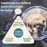 Igennus Vegan Pro-Collagen Protein Powder, Plant-Based Peptide Supplement with Glycine, 21 Amino Acids & Vitamin C, Complete Collagen Boosting Formula, Mix into Drinks or Food, 35 Servings - Image 4