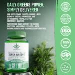 Super Greens Powder Supplement Capsules – 180 – Blend of 26 Ingredients – 3 Month Supply – Superfoods Daily Source of Nutritious Greens – with Matcha & Chlorella - Image 6