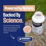 High-Dose Nootropic & Adaptogen Complex for Focus & Wellbeing | Research-Levels of Ashwagandha 1000mg, Lion’s Mane 1000mg, L-Theanine 300mg, Vitamins D3, B5, B12 & Zinc - Image 6