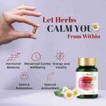 GinSen Smooth Stress, Stress Relief Supplement, Period Emotional Balance, Herbal Extract & Vitamins Made in UK (150 Capsules) - Image 3