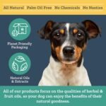 Herbal Dog Co HerbaCalm Calming Tonic Supplements for Nervous Dogs, 30ml - Helps with Fireworks, Vet Trips & Separation for Dogs & Puppies - All-Natural, Vegan, Made in UK - Image 4