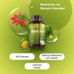 Berberine Supplement - 500mg per Capsule - 4 Months Supply - 120 Capsules - Berberine HCL Form - 1 per Day - Vegan-Friendly & Non-GMO - Sourced from Berberis Vulgaris - Image 3