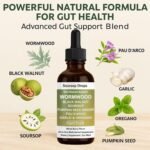 60ML Organic Wormwood Black Walnut Clove Gut Cleanser, with Soursop, Pumpkin Seed,Garlic, Boosts Energy, Gut Health & Absorption for Women & Men (1pcs) - Image 4