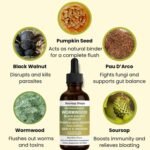 60ML Organic Wormwood Black Walnut Clove Gut Cleanser, with Soursop, Pumpkin Seed,Garlic, Boosts Energy, Gut Health & Absorption for Women & Men (1pcs) - Image 5
