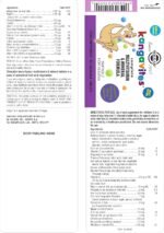 Solgar Kangavites Bouncing Berry Complete Multivitamin and Mineral Formula Chewable Tablets - Pack of 60- 28 Active Ingredients - Supports a Healthy Lifestyle - Vegan and Gluten Free - Image 3