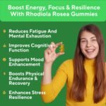 Rhodiola Rosea Gummies 1500mg – Vegan Sugar-Free Adrenal Support Supplement for Stress, Energy, Mood & Focus – Cortisol Balance Adaptogen – Non-GMO Herbal Chews – 60 Count - Image 5