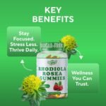 Rhodiola Rosea Gummies 1500mg – Vegan Sugar-Free Adrenal Support Supplement for Stress, Energy, Mood & Focus – Cortisol Balance Adaptogen – Non-GMO Herbal Chews – 60 Count - Image 7