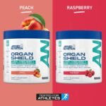 Applied Nutrition Organ Shield for Over 40s | Antioxidant Support, Choline, CoQ10, Selenium & Botanicals | Informed Sport – Raspberry (300g – 30 Servings) - Image 5
