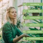 Rhodiola Root Capsules - 1000mg Enhanced Energy Levels Stress Relief Immune System Support Natural Vegan Supplement - 30 Capsules 1 Month Supply - Image 6