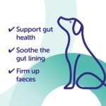 Pro-Kolin Advanced Gut Health Paste for Dogs to Firm Up Poop, Prebiotic and Probiotic Formula, Meat-Free Liver Flavour, 30ml - Image 3
