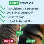 STRELLALAB Allergy Support Chews for Dogs with Omega 3 Fish Oil - Itchy Skin Support Immune Supplement - Skin & Coat Health - Made in UK - Stop Itch & Hot Spots - Pork Flavor - 60ct - Image 4