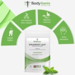 Spearmint Leaf Capsules - 500mg Hormonal Balance Digestive Health Fatigue & Stress Relief Support Antioxidant Formula Natural Food Supplement - 240 Capsules 8 Month Supply - Image 7
