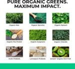 Organic Greens by LLS | 273g - 30 Servings | Unflavoured | Contains 6 Organic Greens - Kale, Spirulina, Spinach, Seagreens, Pea, Chlorella Plus Inulin and Lactospore® | Love Life Supplements - Image 4