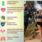 Potent Cordyceps Mushroom Capsules 1400 mg Performance Booster - Bioactive Cordyceps Sinensis Extract with 40% Polysaccharides & Beta Glucan - 60 Organic Mushroom Capsules by Doych - Image 3