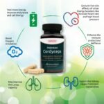 Potent Cordyceps Mushroom Capsules 1400 mg Performance Booster - Bioactive Cordyceps Sinensis Extract with 40% Polysaccharides & Beta Glucan - 60 Organic Mushroom Capsules by Doych - Image 7