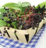 Health Embassy Elderberry Dried Fruit | Sambucus L | 50g - Image 9