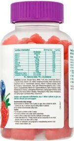 Chewy Vites Kids Multi-Vit + Probio, 60 Kids Vitamins Gummies, 11 Essential Nutrients, Probiotics for Children, 2 Months Supply, Real Fruit Juice, Vegan, Age 3 +, Blueberry and Raspberry Flavour - Image 3