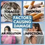 Bliss of Earth Lungs Cleanse for Smokers, Natural Sugar Free Lungs Detox Supplement for Tar & Pollution Detox, Healthy Lungs Cleansing Syrup, 200ml - Image 7