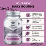 Empower, Menopause Support Capsules - Lion’s Mane, Reishi, Red Clover, Sage, Magnesium, Zinc, Vitamin B6, VIT B12 and More - Vegan Friendly - 60 Capsules - Image 4