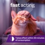 Cat Calming Drops, Cat Anxiety Relief, Relaxant Supplements, Valerian & Ashwagandha - 100% Natural Stress Treatment, No need for Cat Calming Plug-In, 30ml - Image 3