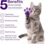 Cat Calming Drops, Cat Anxiety Relief, Relaxant Supplements, Valerian & Ashwagandha - 100% Natural Stress Treatment, No need for Cat Calming Plug-In, 30ml - Image 4