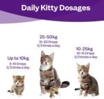 Cat Calming Drops, Cat Anxiety Relief, Relaxant Supplements, Valerian & Ashwagandha - 100% Natural Stress Treatment, No need for Cat Calming Plug-In, 30ml - Image 6