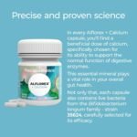 Alflorex + Calcium - Daily Gut Health Probiotics Supplement with Unique Bifidobacterium Longum Bacteria Strain 35624 + Calcium - Bacterial Cultures - 30 Capsules - Image 4