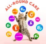 Cat Vitamins for Indoor & Outdoor Pets - 200 Chews - Healthy Cat Treats - Immune, Joint Support, Skin & Digestion - Multivitamin with Omega 3s, Glucosamine & Probiotics - Image 3