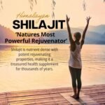 Shilajit Capsules – 1,500mg Purified Extract – Northumbria Health – Natural Energy, Stamina & Vitality Support – 60 Vegan Capsules – Authentic Himalayan Source – Non-GMO, UK Made - Image 6