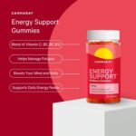 Cannaray Energy Support Gummies – 30 Count | Mango Flavour | with Vitamin B5, B6, B12 & Vitamin C for Energy | Vitamin D3 for Immune Support - Image 3