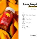 Cannaray Energy Support Gummies – 30 Count | Mango Flavour | with Vitamin B5, B6, B12 & Vitamin C for Energy | Vitamin D3 for Immune Support - Image 4
