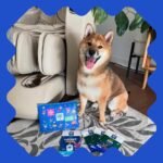 NATPAT Pet Zen Calming Patches for Dogs & Cats – Non-Medicated Effective Stress Relief for Travel, Fireworks & Separation Anxiety - Long Lasting & Non-Toxic (24 patches) - Locket sold separetely - Image 5