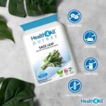 Health4All Sage Leaf 2500mg 240 Capsules 8 Months Supply, Purest Sage Water Extract for Menopause Support, High Strength Menopause Supplement One-a-Day Capsules (not Tablets) | Made in UK - Image 6