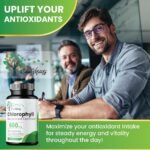 Chlorophyll Capsules, 600mg Advanced Formula, Food Supplement, 60 Count - Image 4