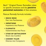 Rescue Remedy Pastilles | Orange & Elderflower Flavoured | Daily Support for Stressful Moments | Bach Original Flower Essences | Chewable Pastilles | 50g Travel Tin - Image 5