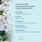 Stress and Mood Supplement - Stress and Anxiety Relief, Well-Being and Relaxation - for Adults, Men, Women - Magnesium, Vitamin B6, Saffron, Rhodiola, Hawthorn - 60 Capsules, 30 Days - Image 5