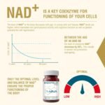 1-MNA PRO, Anti Aging, Optimizing NAD+, Double Dose for Faster Effects, Biohacking Supplement, Sirtuin Activator, Support for Cellular Health, Scientifically Formulated, 30 Easy Swallow Caps - Image 4